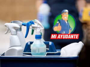 Productos de limpieza profesional frente al uso doméstico